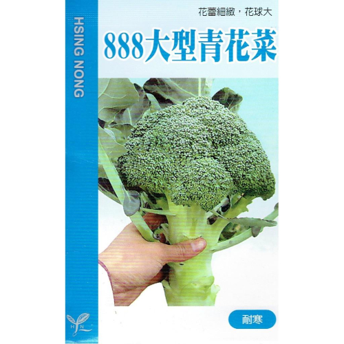 愛上種子 888大型青花菜 綠色花椰菜【蔬果種子】興農牌 每包約1ml