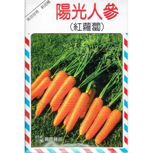 愛上種子 紅蘿蔔(陽光人參) 【蘿蔔類種子】興農牌中包裝 每包約4公克
