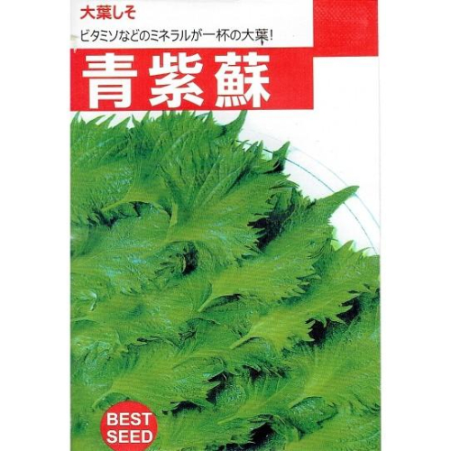 愛上種子 青紫蘇 香藥草種子 分包裝種子 每包約2克