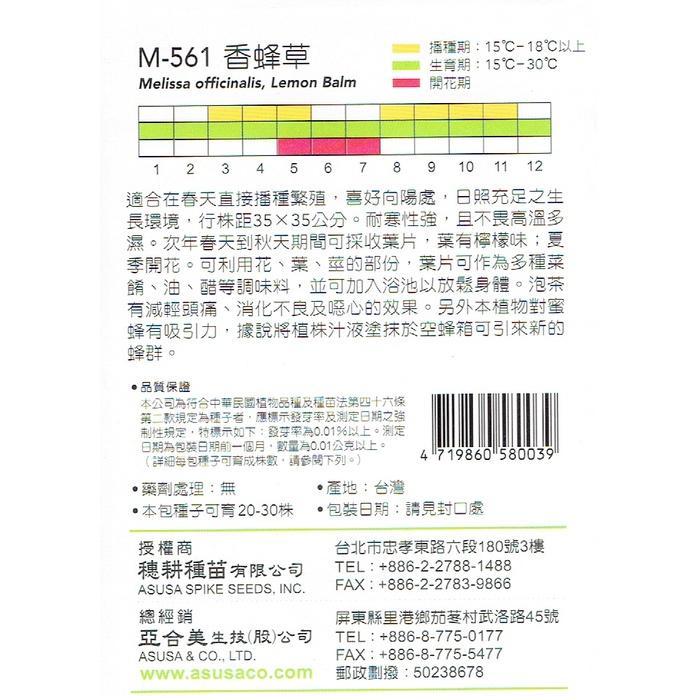 愛上種子 香蜂草 蜜蜂花【 香藥草種子 】 天星牌 小包裝種子-細節圖2