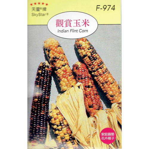 愛上種子 觀賞玉米【花卉種子】彩虹玉米 天星牌 小包裝種子