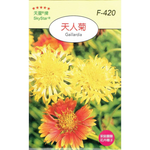 愛上種子 天人菊 【花卉種子】天星牌 花卉小包裝種子