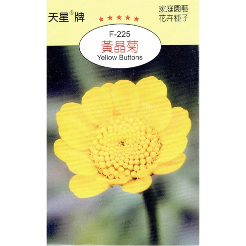 愛上種子 黃晶菊【花卉種子】 天星牌 花卉小包裝種子
