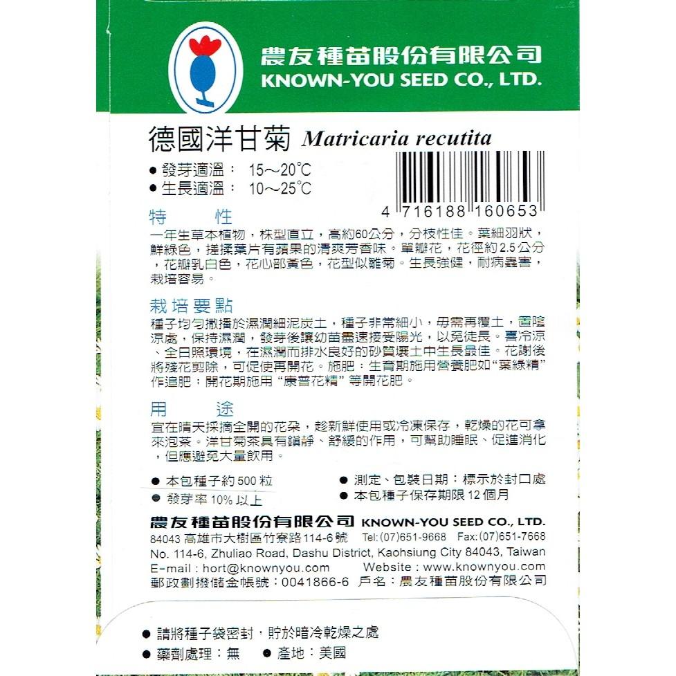 愛上種子 德國洋甘菊【香藥草種子 】農友牌 香藥草小包裝種子 約500粒/包-細節圖2
