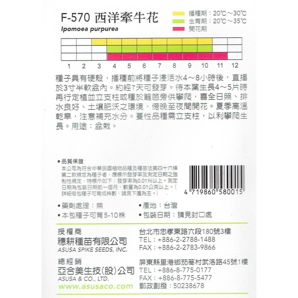 愛上種子 西洋牽牛花【花卉種子】 天星牌 花卉小包裝種子-細節圖2