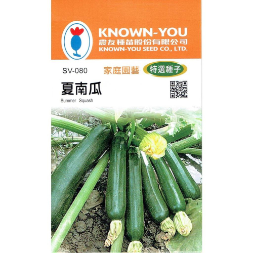 愛上種子 夏南瓜【蔬果種子】綠果 農友牌 特選小包裝種子 約10粒/包