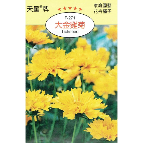 愛上種子 大金雞菊【花卉種子】 天星牌 花卉小包裝種子