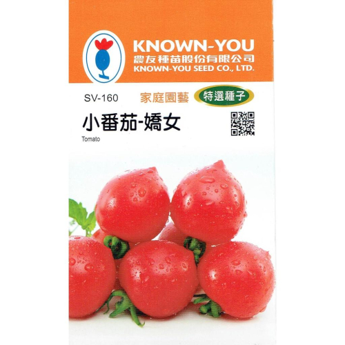 愛上種子 小番茄-嬌女【蔬果種子】農友牌 特選小包裝種子 約7粒/包