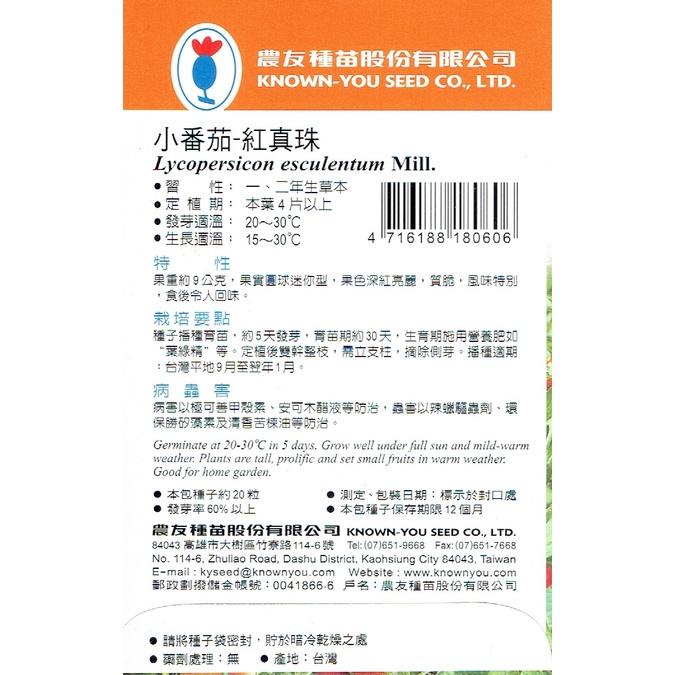 愛上種子 小番茄-紅真珠【蔬果種子】農友牌 特選小包裝種子 約20粒/包-細節圖2