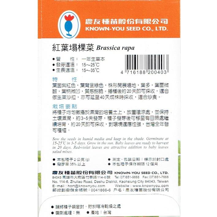 愛上種子 紅葉塌棵菜【貝比菜種子】 貝比菜小包裝種子 約2克/包-細節圖2