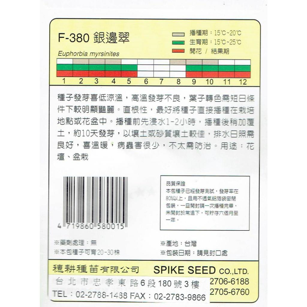 愛上種子 銀邊翠【花卉種子】天星牌 花卉小包裝種子-細節圖2
