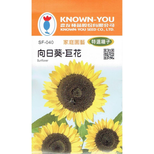 愛上種子 向日葵-巨花【花卉種子】農友牌 特選小包裝種子 約40粒/包