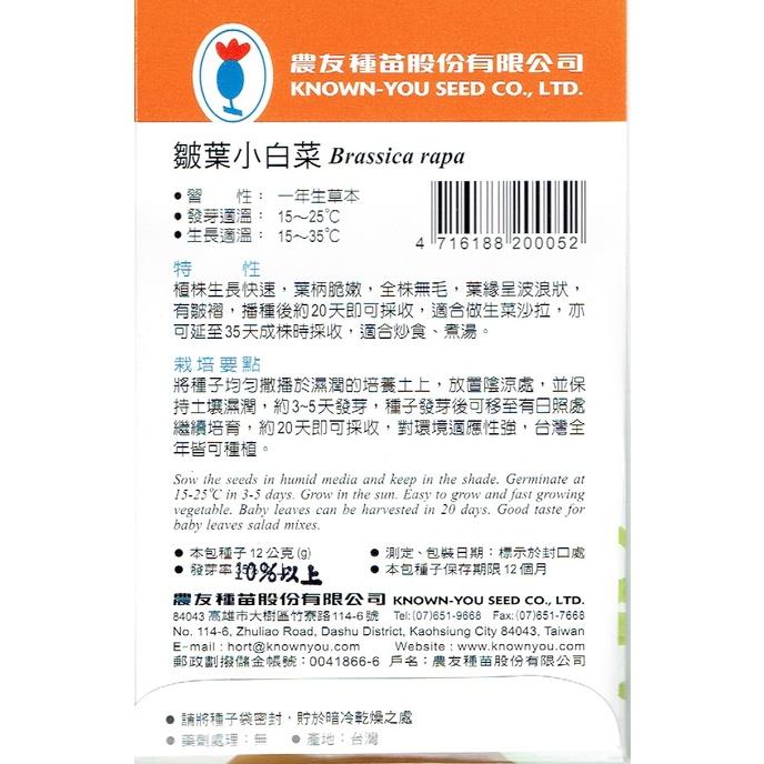 愛上種子 皺葉小白菜【貝比菜種子】農友牌 貝比菜小包裝種子 約12克/包-細節圖2