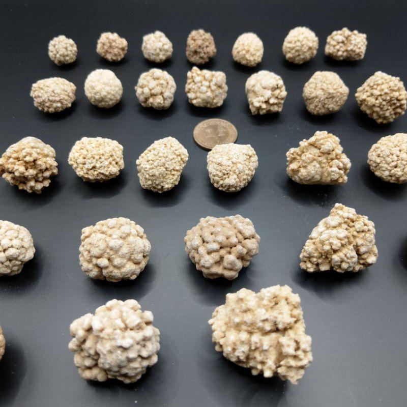 泰國龍宮舍利 跳出腦舍利原礦 腦舍利花（2）#1~15-細節圖2