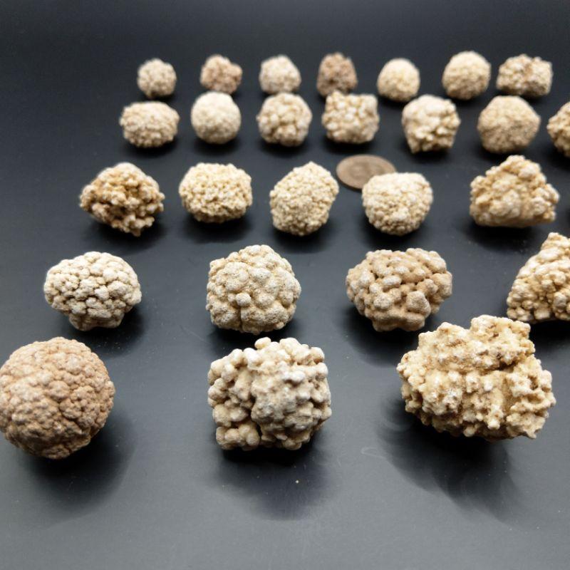 泰國龍宮舍利 跳出腦舍利原礦 腦舍利花（2）#1~15-細節圖3