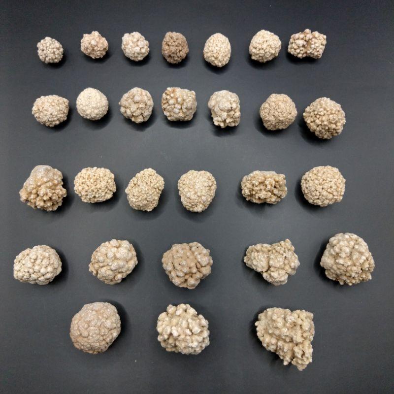 泰國龍宮舍利 跳出腦舍利原礦 腦舍利花（2）#1~15-細節圖4