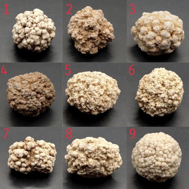 泰國龍宮舍利 跳出腦舍利原礦 腦舍利花（2）#1~15-細節圖6