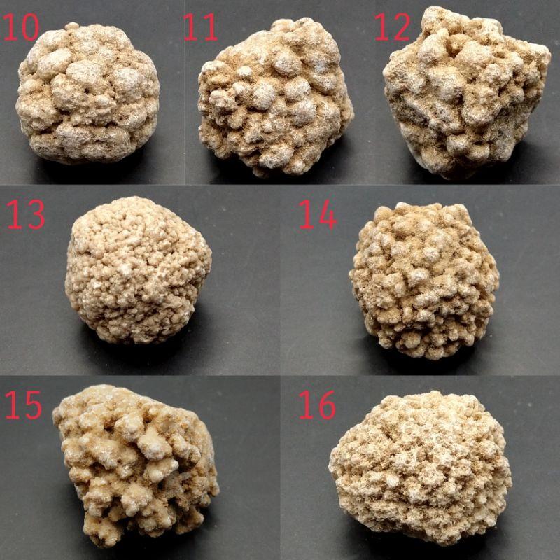 泰國龍宮舍利 跳出腦舍利原礦 腦舍利花（2）#1~15-細節圖7
