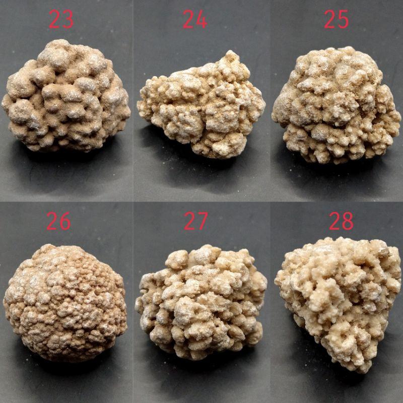 泰國龍宮舍利 跳出腦舍利原礦 腦舍利花（2）#1~15-細節圖9