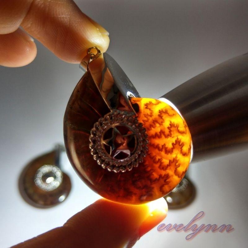 風水螺吊墜 玉化 表面有彩 斑彩螺 鸚鵡螺石 海螺石 招財只進不出-細節圖2