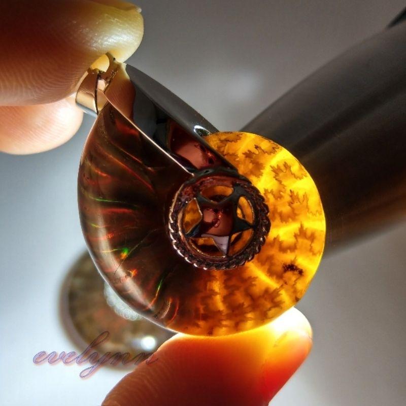 風水螺吊墜 玉化 表面有彩 斑彩螺 鸚鵡螺石 海螺石 招財只進不出-細節圖3