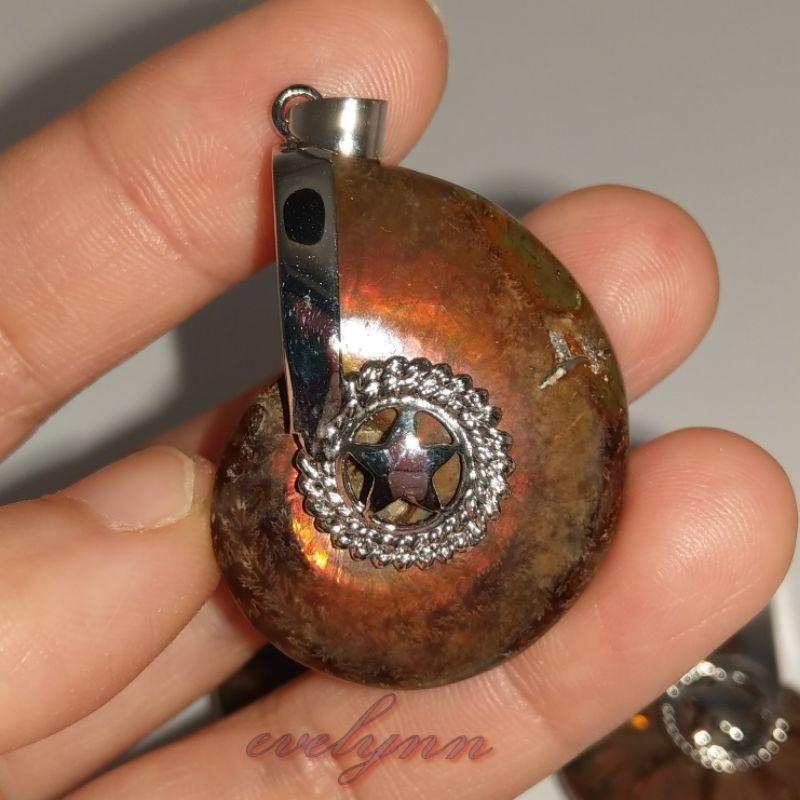 風水螺吊墜 玉化 表面有彩 斑彩螺 鸚鵡螺石 海螺石 招財只進不出-細節圖5