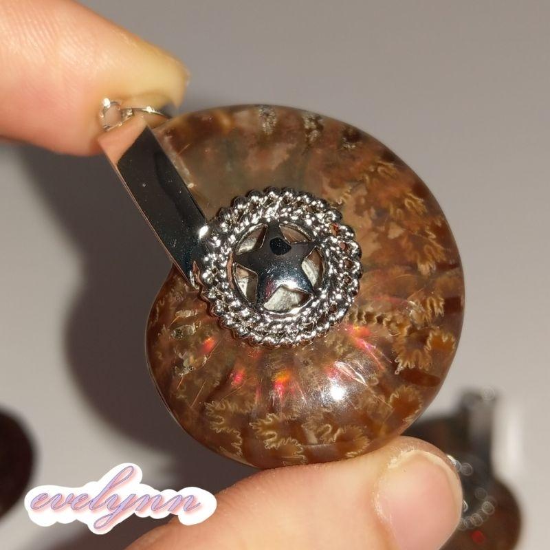 風水螺吊墜 玉化 表面有彩 斑彩螺 鸚鵡螺石 海螺石 招財只進不出-細節圖6