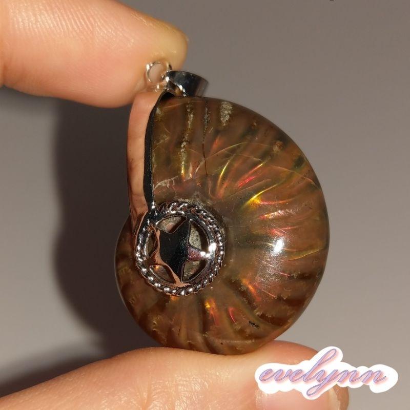 風水螺吊墜 玉化 表面有彩 斑彩螺 鸚鵡螺石 海螺石 招財只進不出-細節圖7