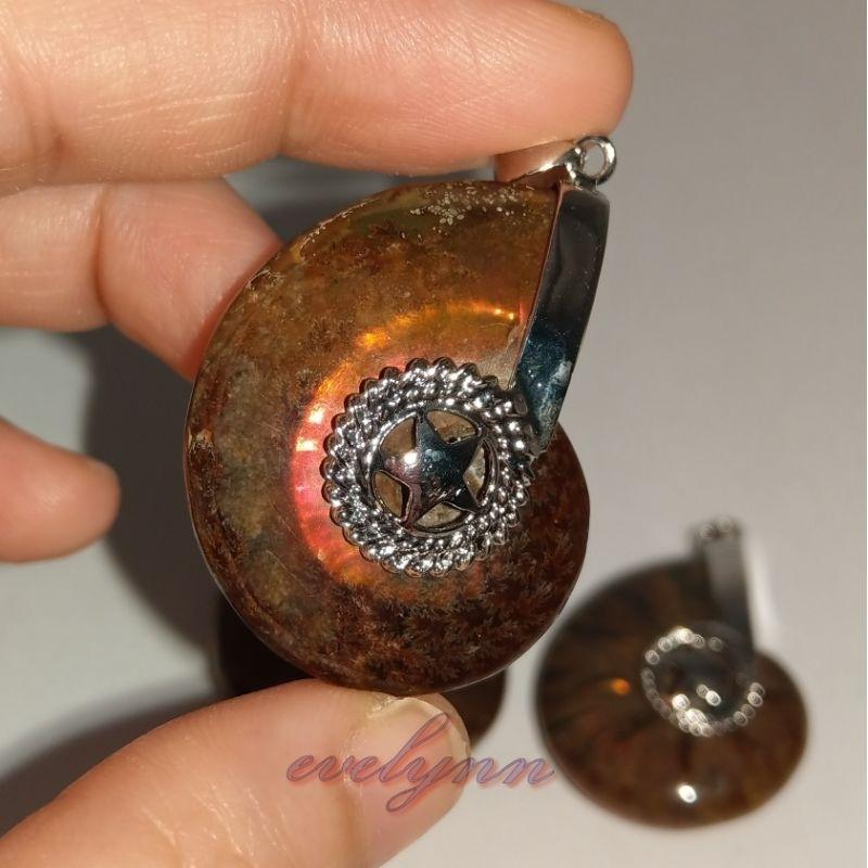 風水螺吊墜 玉化 表面有彩 斑彩螺 鸚鵡螺石 海螺石 招財只進不出-細節圖8