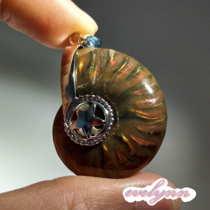 風水螺吊墜 玉化 表面有彩 斑彩螺 鸚鵡螺石 海螺石 招財只進不出-細節圖9