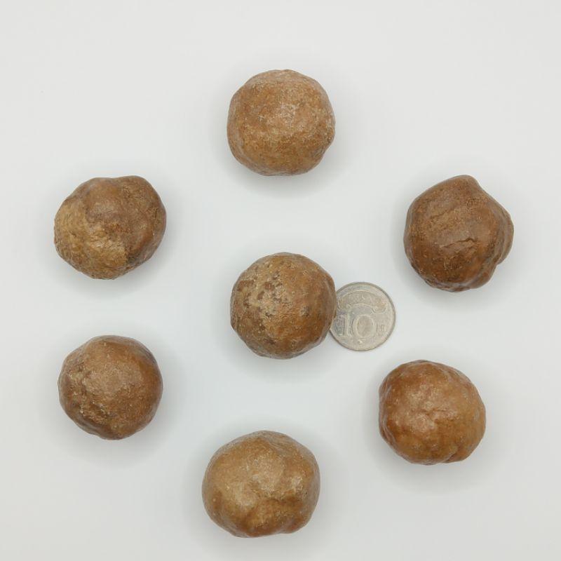 泰國龍宮舍利 腦舍利 跳出腦舍利原礦-細節圖3