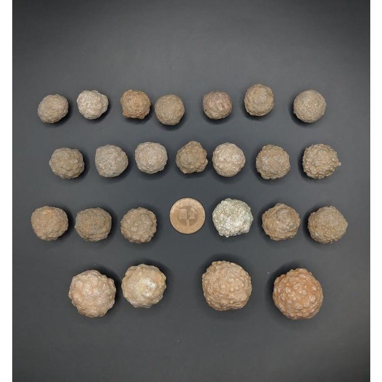 泰國龍宮舍利 跳出腦舍利原礦-細節圖2