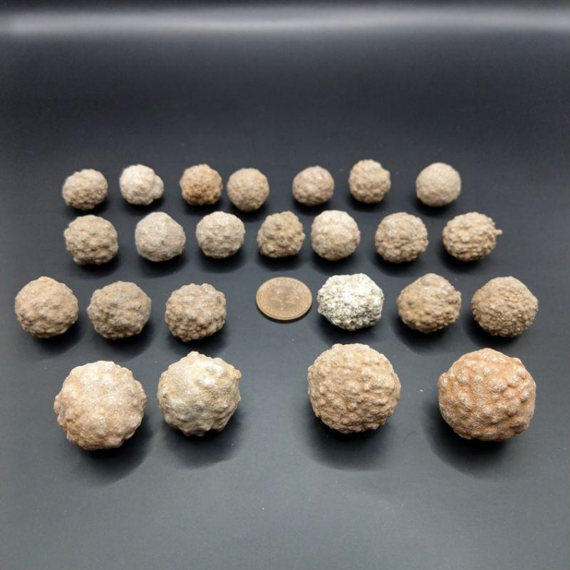 泰國龍宮舍利 跳出腦舍利原礦-細節圖3