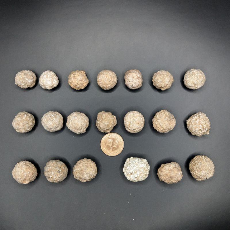 泰國龍宮舍利 跳出腦舍利原礦-細節圖4