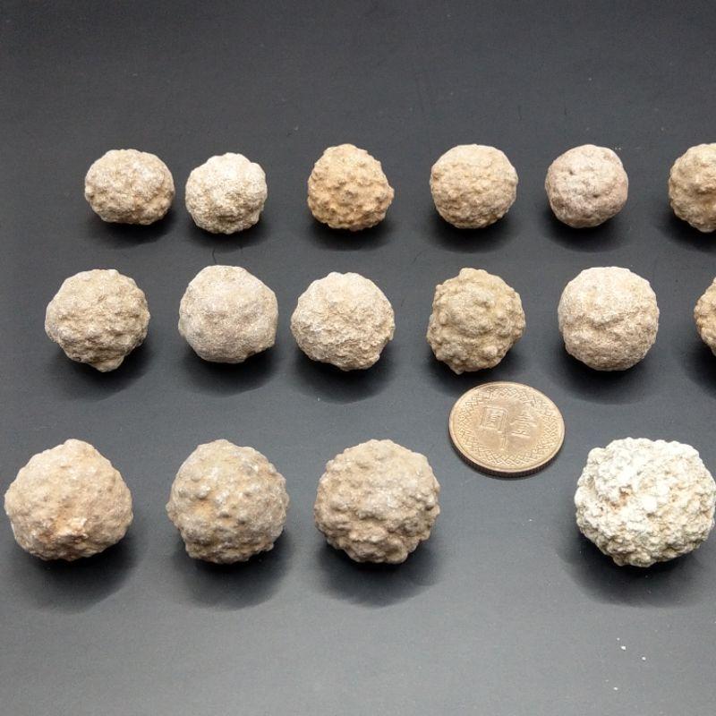 泰國龍宮舍利 跳出腦舍利原礦-細節圖5