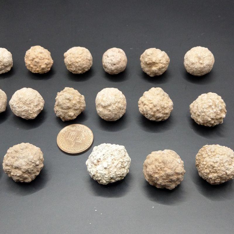 泰國龍宮舍利 跳出腦舍利原礦-細節圖6