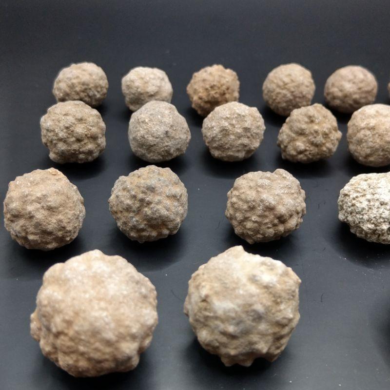 泰國龍宮舍利 跳出腦舍利原礦-細節圖7