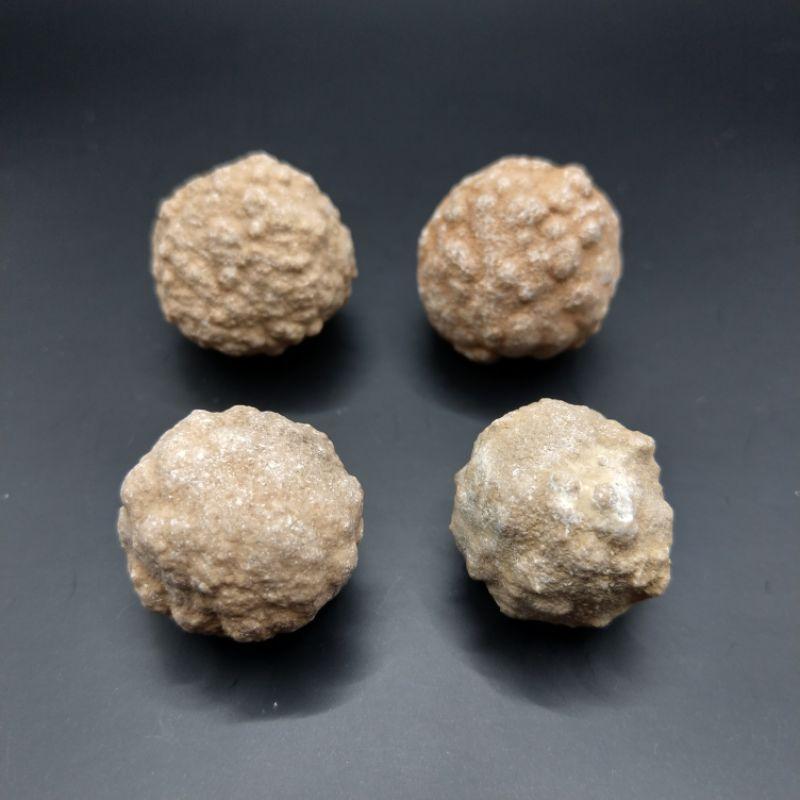 泰國龍宮舍利 跳出腦舍利原礦-細節圖9