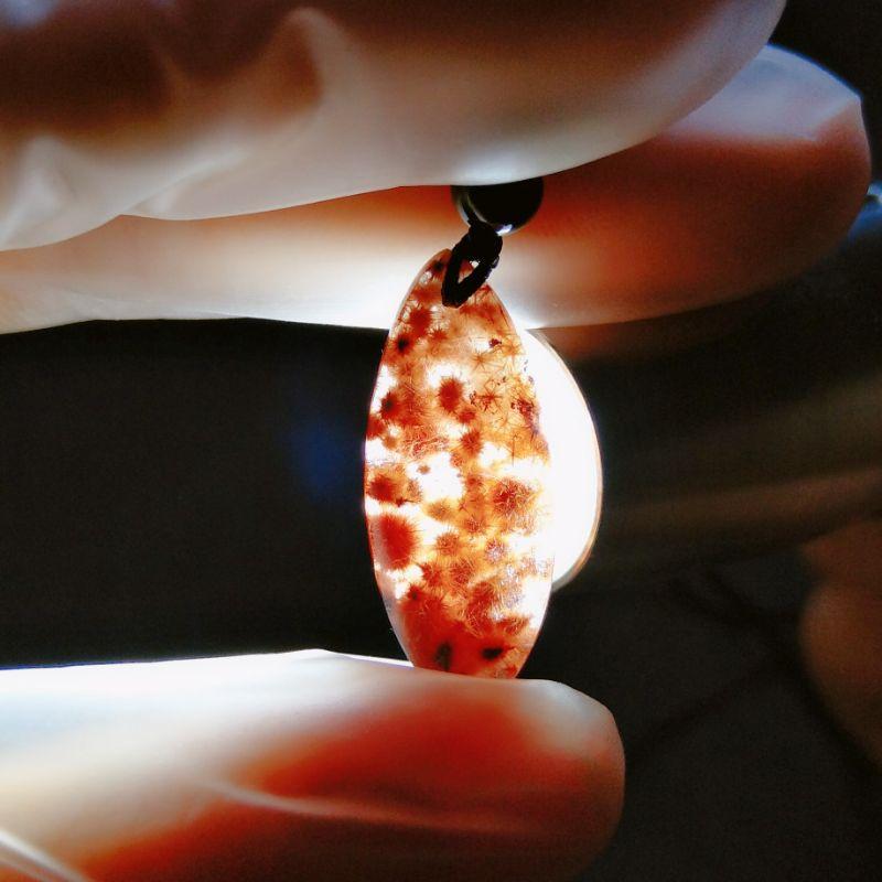 稀有品菊花鈦晶 滿鈦晶 清透料-細節圖6