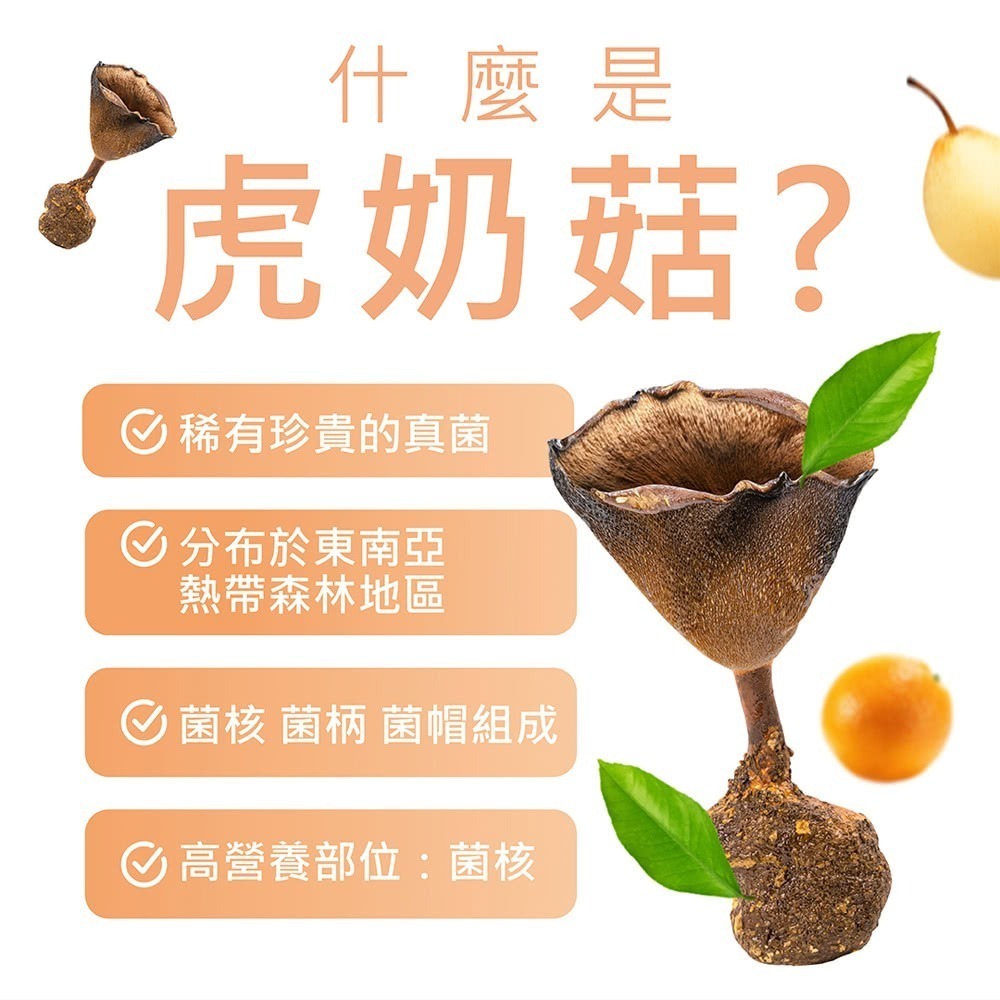 【筑小舖】唯樂 Tigrox 虎奶菇養氣飲 (12包/盒)-細節圖2