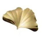 HUTLERY 燕新光 日本製 銀杏 樹葉 楓葉 筷架 不銹鋼筷架 不銹鋼 台灣現貨  造型筷架-規格圖7