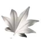 HUTLERY 燕新光 日本製 銀杏 樹葉 楓葉 筷架 不銹鋼筷架 不銹鋼 台灣現貨  造型筷架-規格圖7