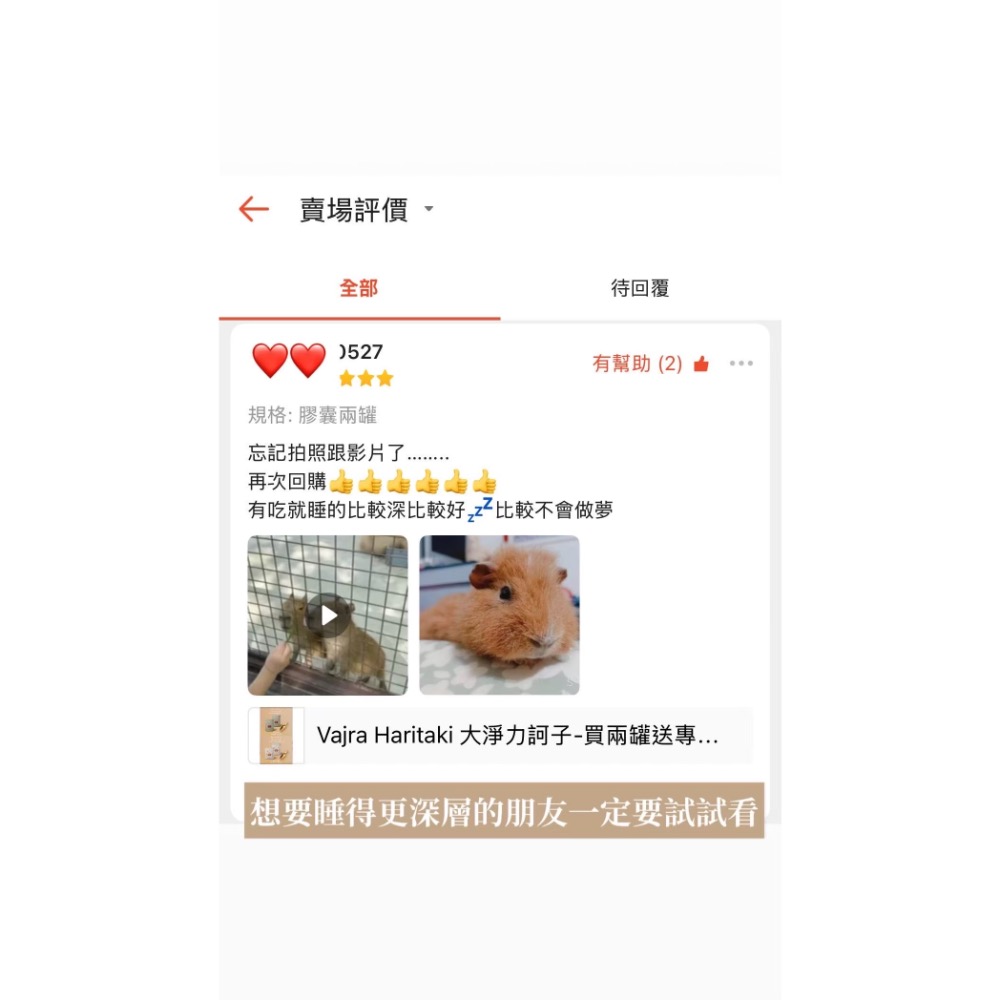 Vajra Haritaki大淨力訶子純淨粉末-細節圖8