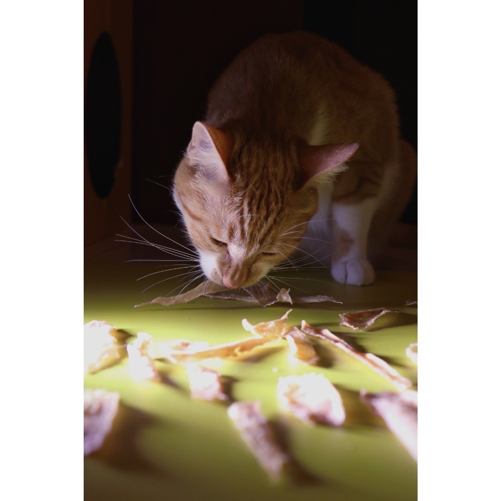 醒派雞肉乾-細節圖4