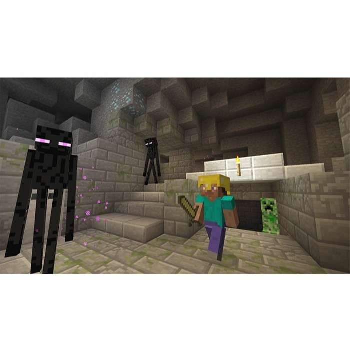 佳里金佳人｜NS 我的世界 Minecraft 當個創世神 麥塊 中文-細節圖2