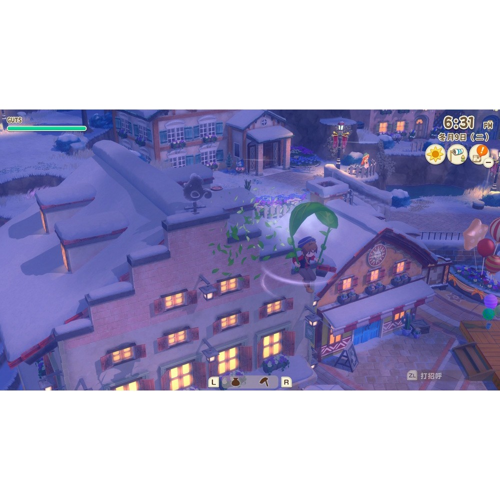 佳里金佳人｜NS2 牧場物語來吧 ! 風之繁華市集 中文-細節圖2