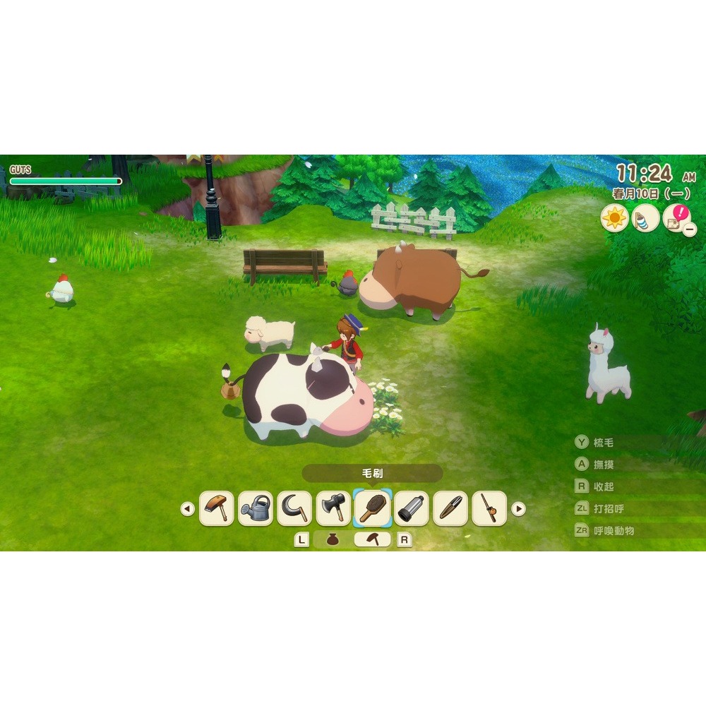 佳里金佳人｜NS2 牧場物語來吧 ! 風之繁華市集 中文-細節圖4