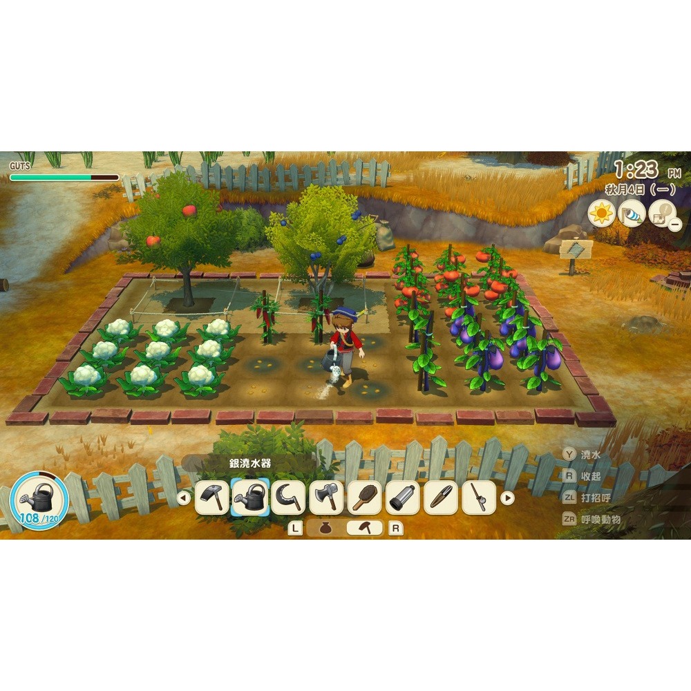 佳里金佳人｜NS2 牧場物語來吧 ! 風之繁華市集 中文-細節圖5