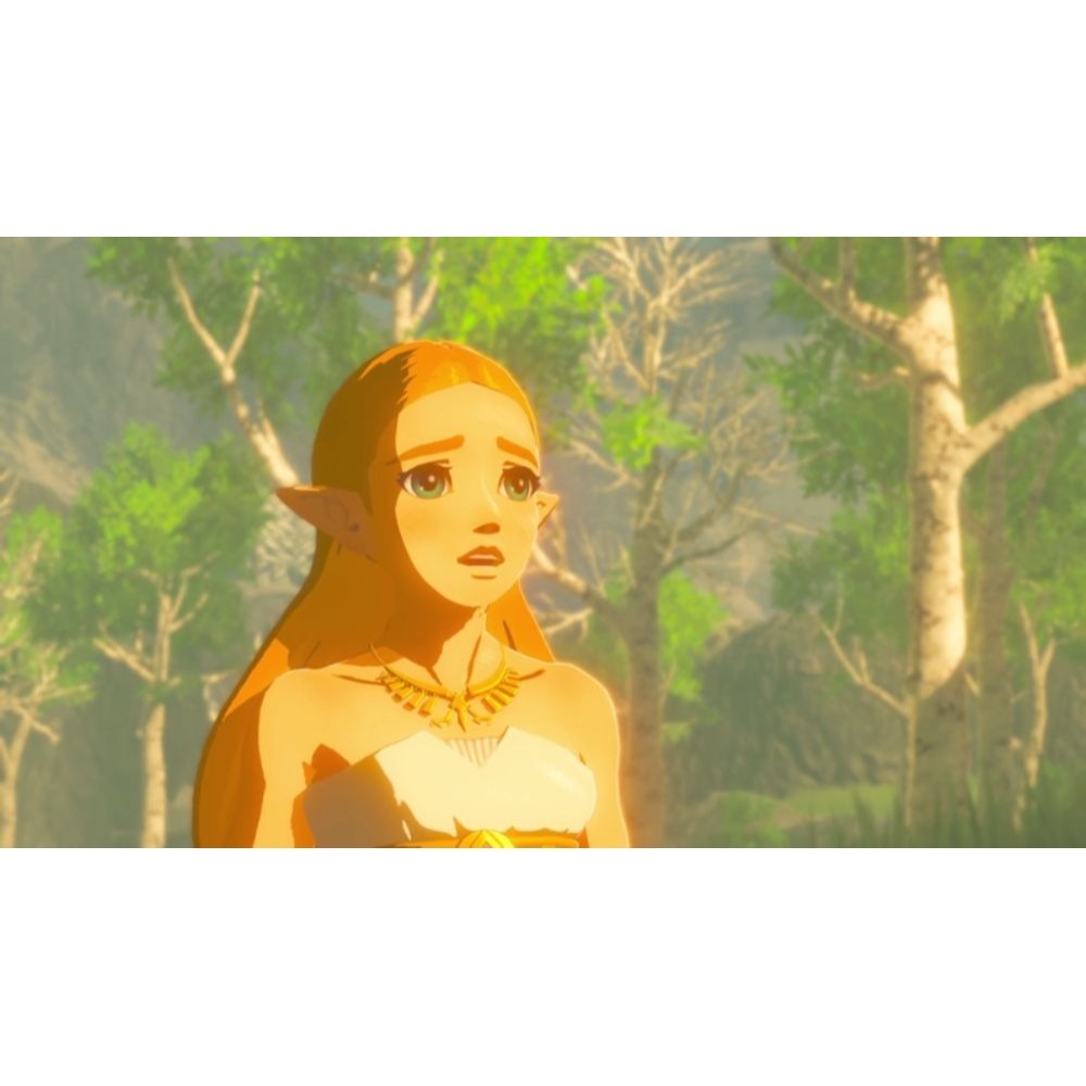 NS2 薩爾達傳說 曠野之息 中文-細節圖2