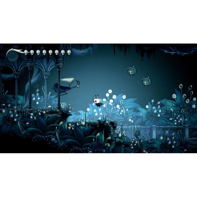 佳里金佳人｜NS窟窿騎士日版簡中-細節圖3